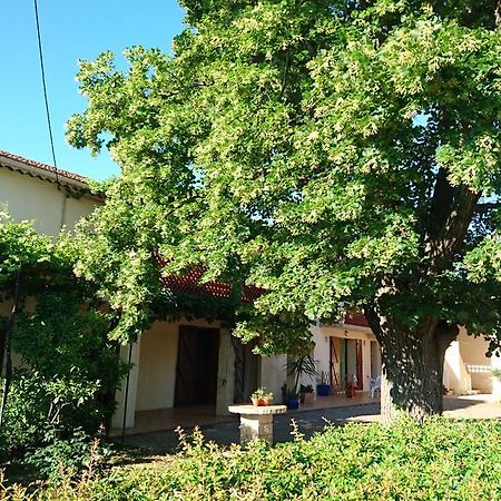 Les Prairies Mas Roux Raphele Exterior foto