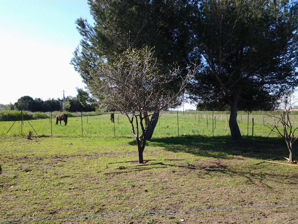 Les Prairies Mas Roux Raphele Exterior foto