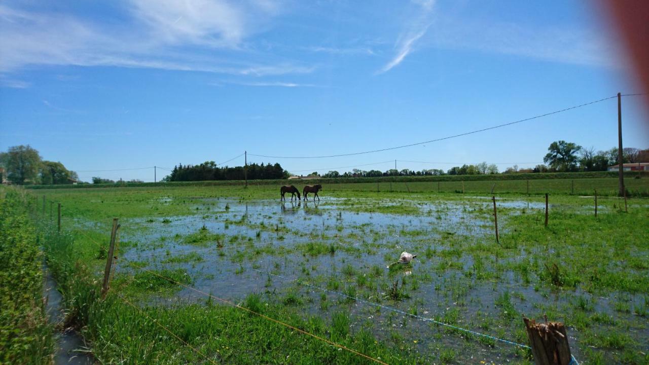 Les Prairies Mas Roux Raphele Exterior foto